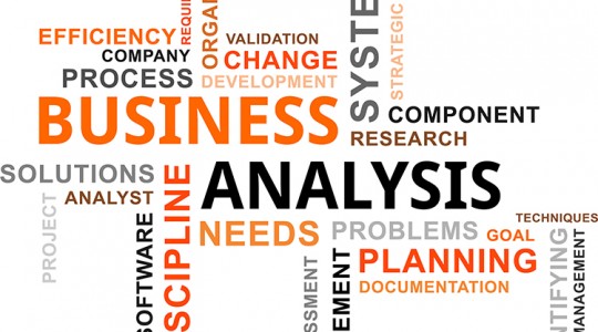 Business Analyst